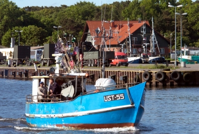 ICES zaleca znaczną redukcję połowów dorszy i śledzi w Bałtyku